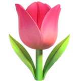 emoji_u1f337.png