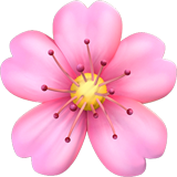emoji_u1f338.png