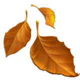 emoji_u1f342.png