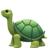 emoji_u1f422.png