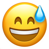emoji_u1f605.png