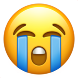 emoji_u1f62d.png