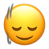 emoji_u1f642_200d_2195.png