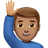 emoji_u1f64b_1f3fd_200d_2642.png