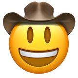emoji_u1f920.png