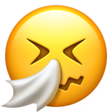 emoji_u1f927.png