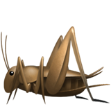 emoji_u1f997.png