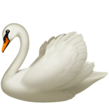emoji_u1f9a2.png