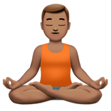 emoji_u1f9d8_1f3fd_200d_2642.png