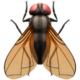 emoji_u1fab0.png