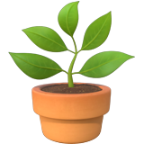 emoji_u1fab4.png