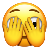 emoji_u1fae3.png