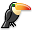 toucan.png
